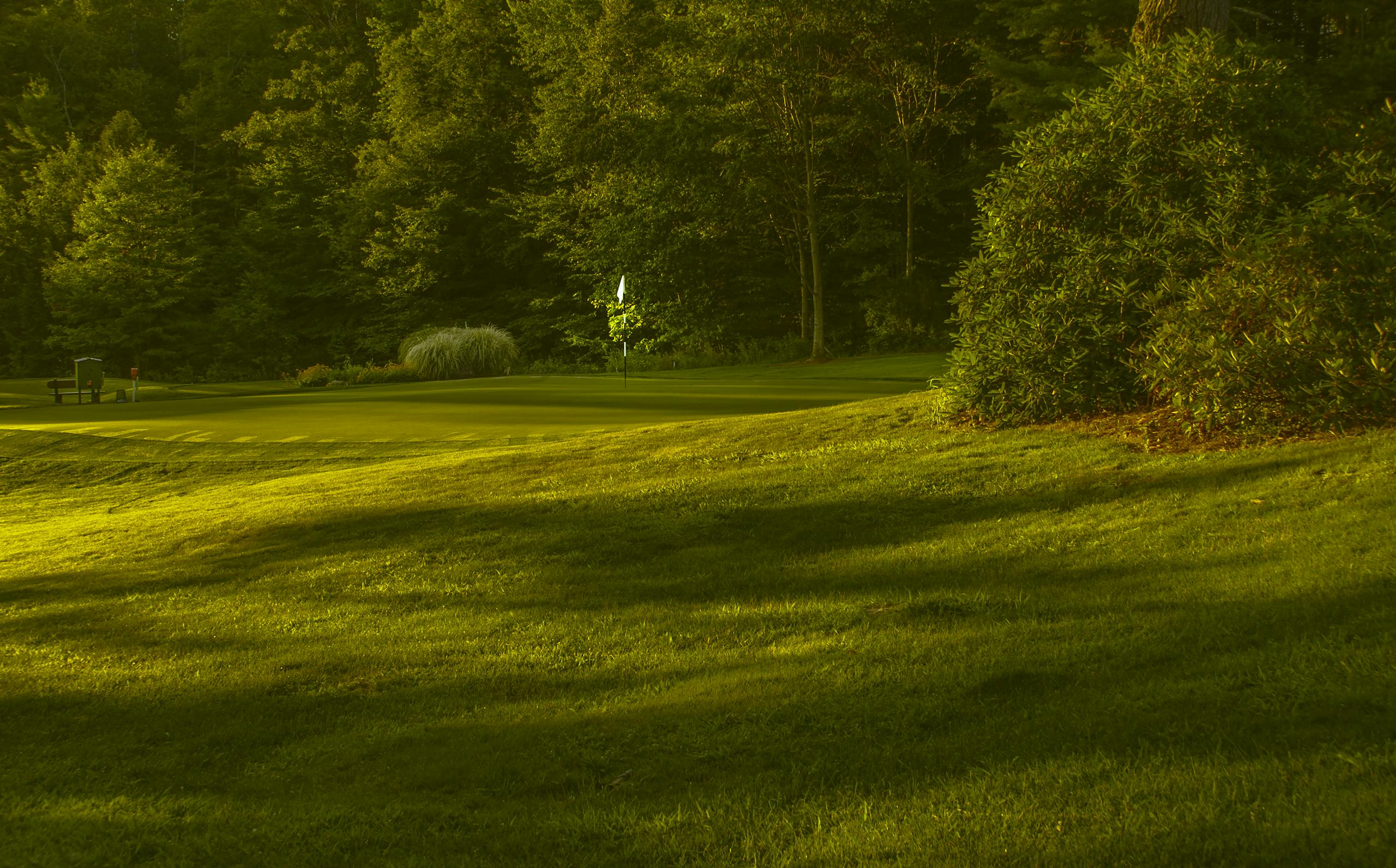 Peaceful golf course scene with vibrant greens and warm sunset lighting.